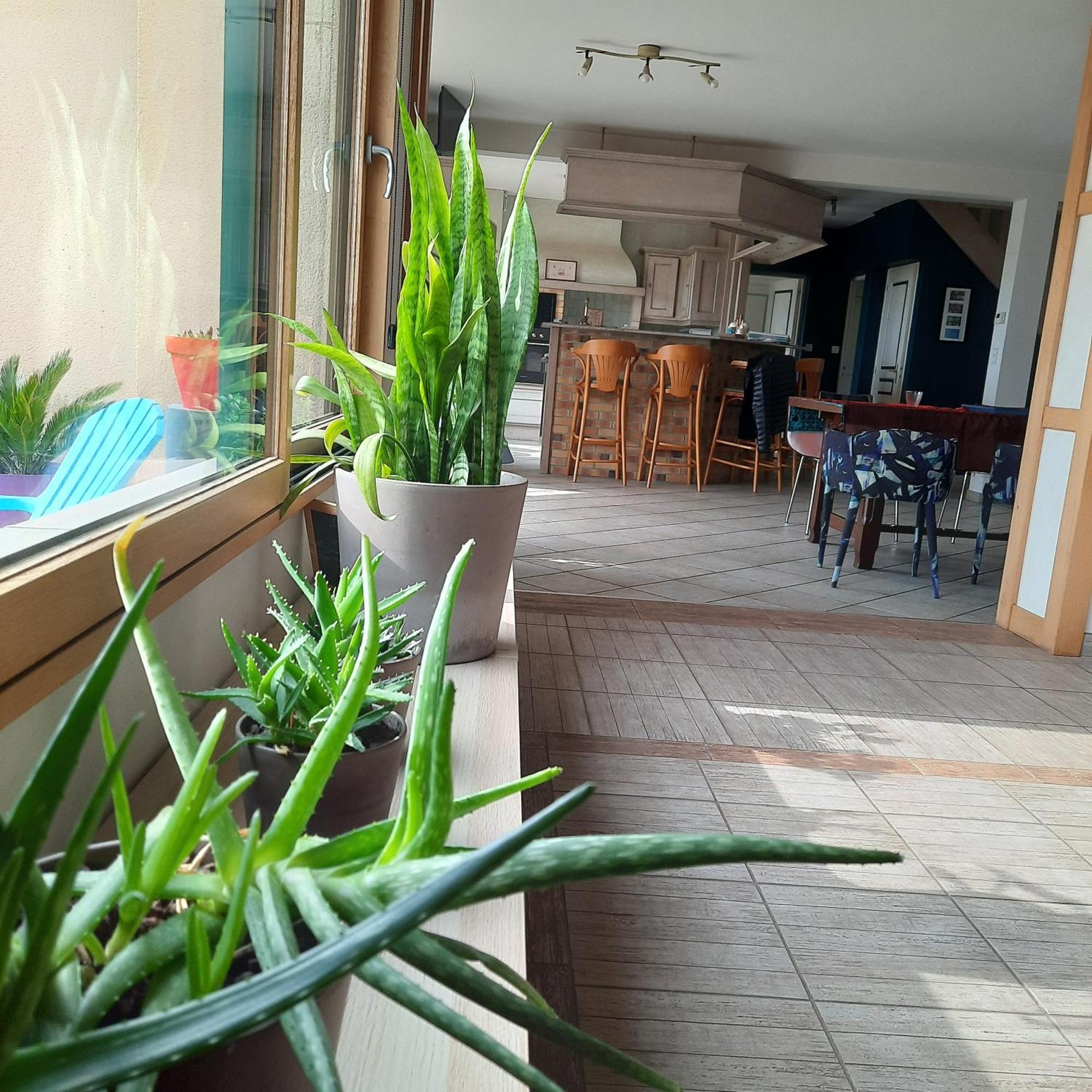 Magnifique Villa Avec Piscine Interieure Saint-Pois 외부 사진